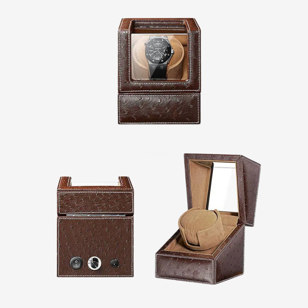 Watch Winder – Autruche - Watch Winder